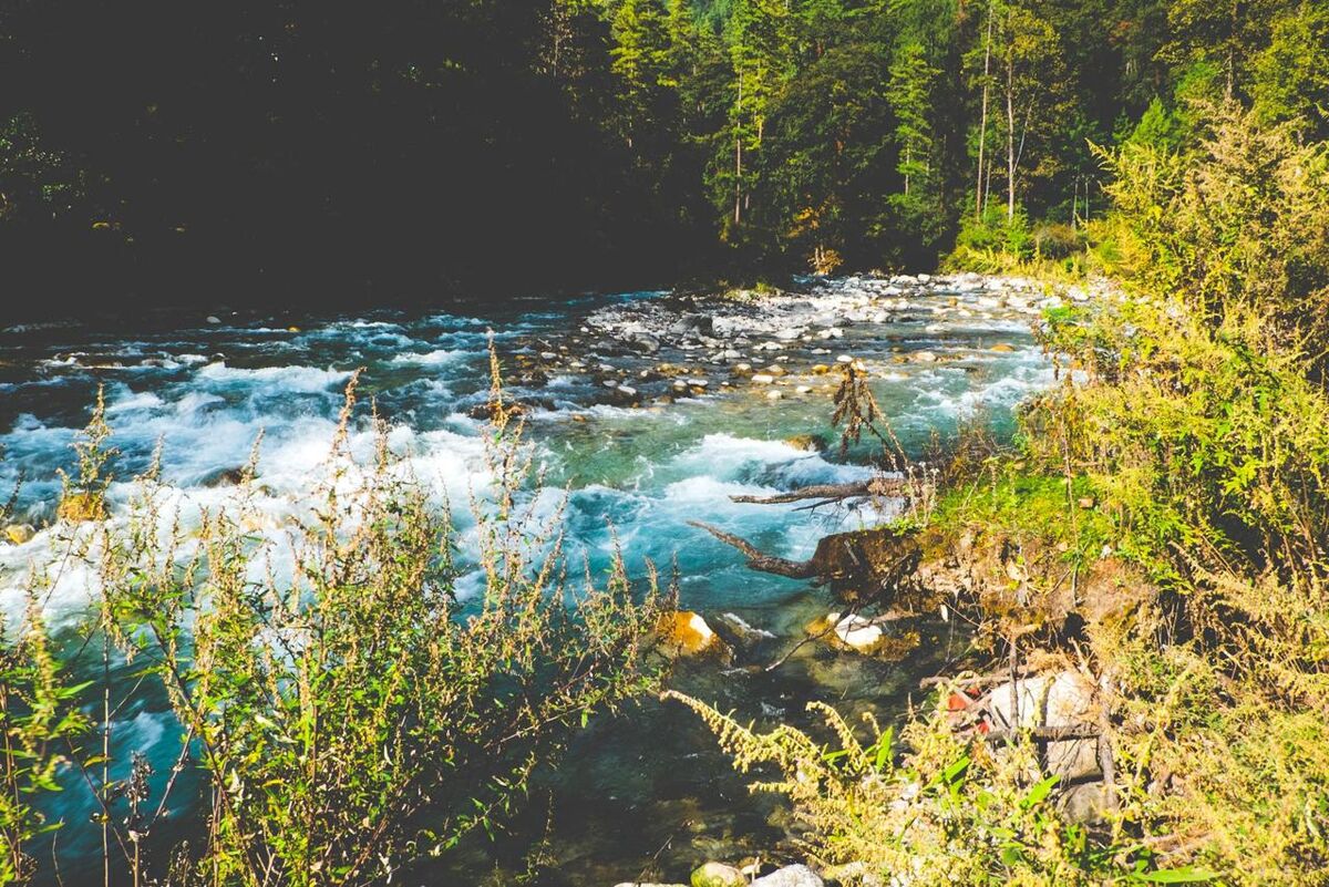 Himalayan river source, Bhutan