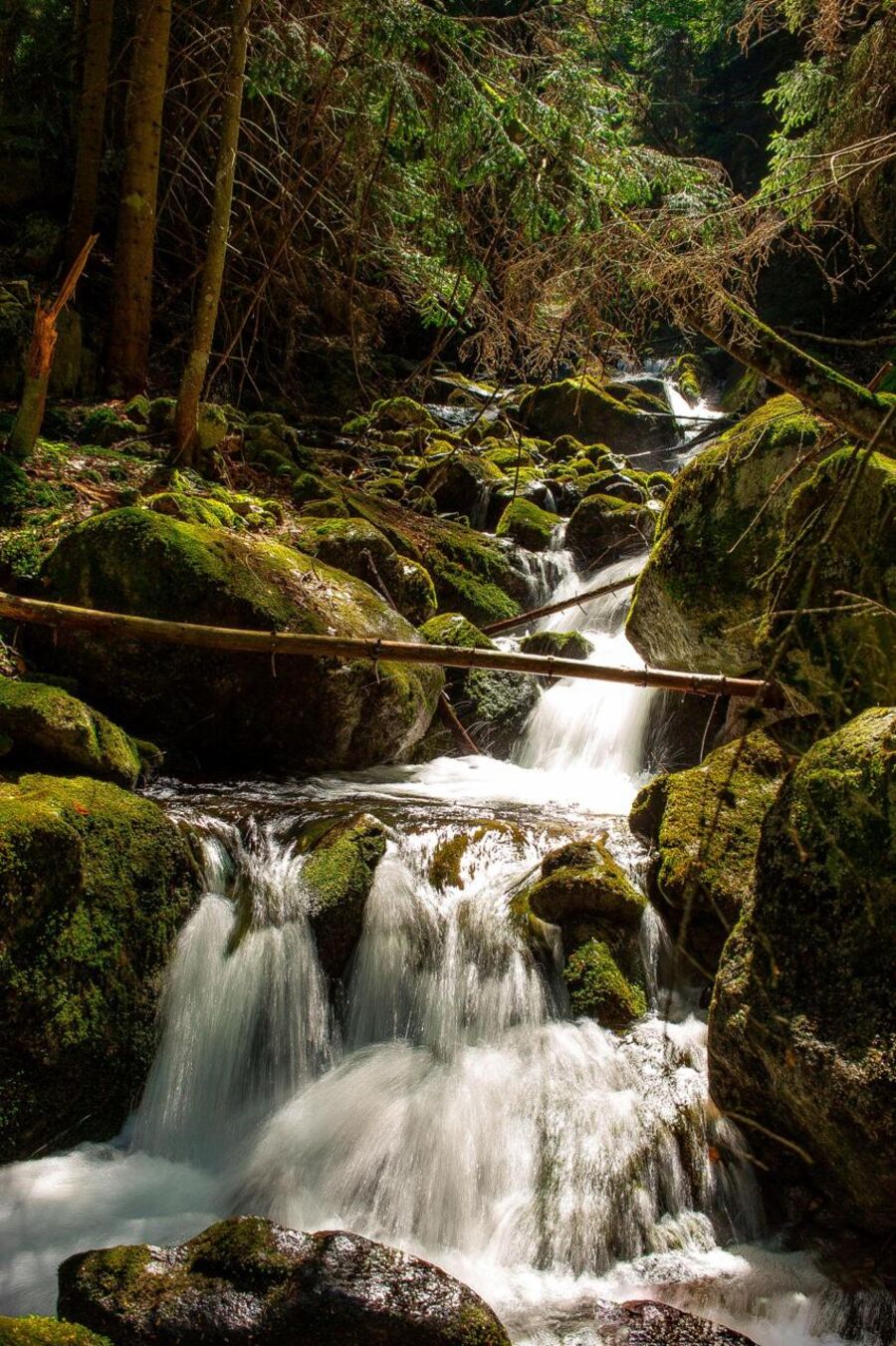 Himalayan waterfall through mossy rocks